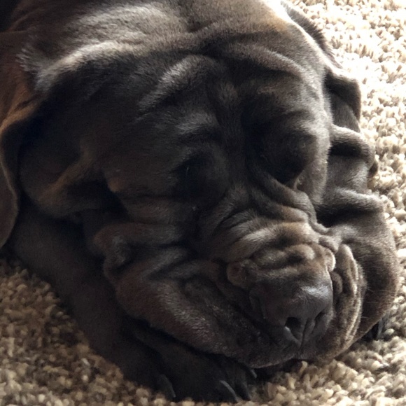 Meet your Posher, Jeff - Picture 1 of 1